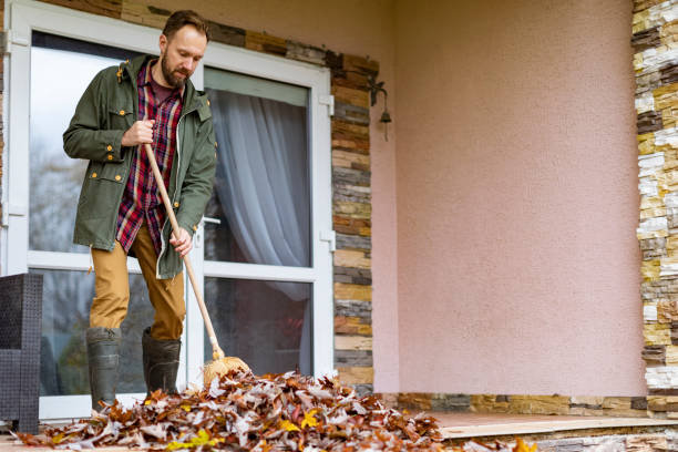 Best Professional Junk Removal  in Hazel Green, AL